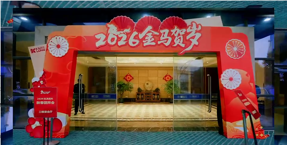 ���˹��ʴ����߿� 2026 ���´��Űݻ�